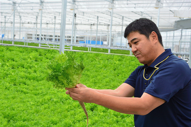 Masaaki Miyashiro